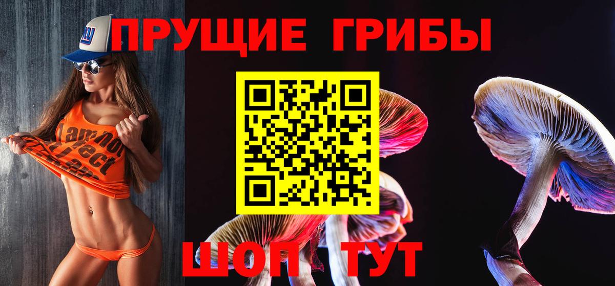 Псилоцибиновые грибы ЛСД  Вход с VPN  дарнет шоп  Асино 